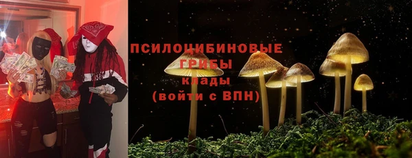 МДМА Алексеевка